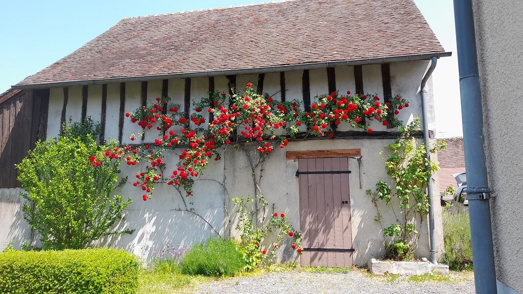 image du bien immobilier Maison LA SELLE EN HERMOY
