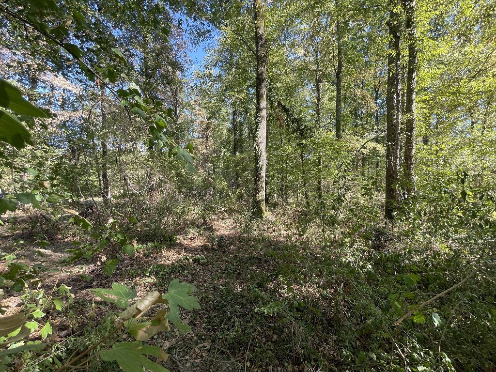image du bien immobilier Terrain LA SELLE SUR LE BIED